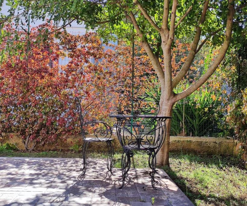Terra Dei Plautii Villa Pulsano Dış mekan fotoğraf